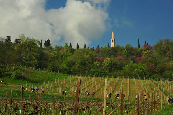 passeggiata nei Colli Berici - Castegnero, Nanto, Covoli di Trene, Sermondi, Covolo Murato di Castegnero