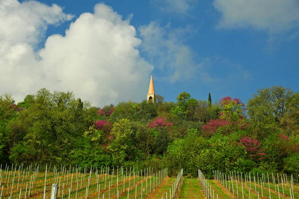 passeggiata nei Colli Berici - Castegnero, Nanto, Covoli di Trene, Sermondi, Covolo Murato di Castegnero