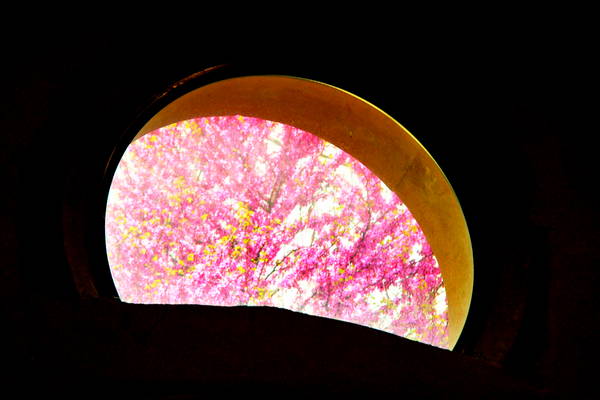 passeggiata nei Colli Berici - Castegnero, Nanto, Covoli di Trene, Sermondi, Covolo Murato di Castegnero