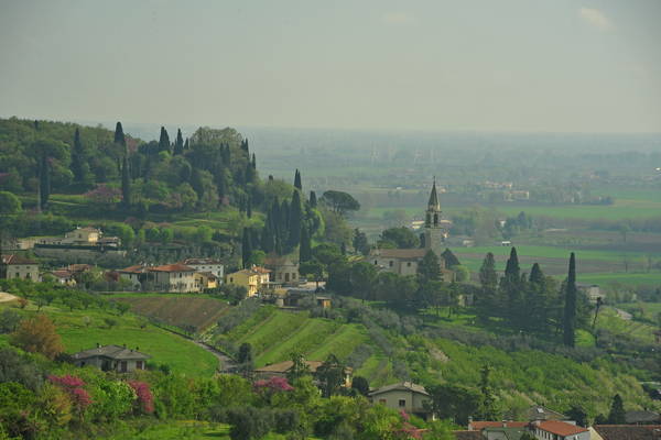 passeggiata nei Colli Berici - Castegnero, Nanto, Covoli di Trene, Sermondi, Covolo Murato di Castegnero