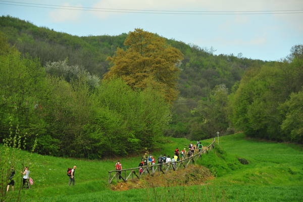 passeggiata nei Colli Berici - Castegnero, Nanto, Covoli di Trene, Sermondi, Covolo Murato di Castegnero
