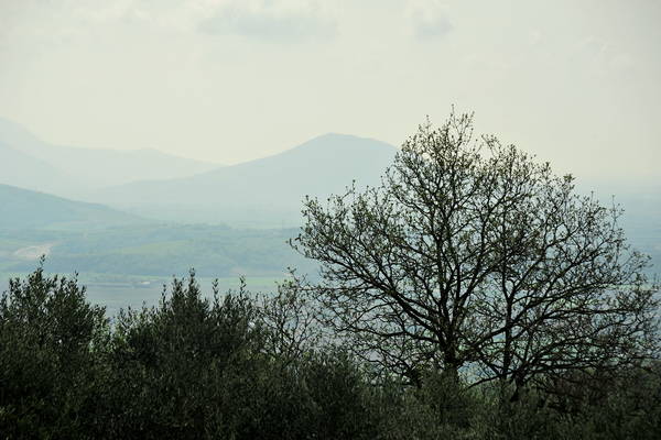 passeggiata nei Colli Berici - Castegnero, Nanto, Covoli di Trene, Sermondi, Covolo Murato di Castegnero