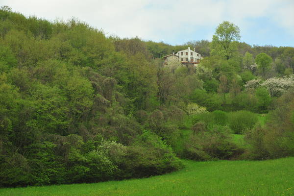 passeggiata nei Colli Berici - Castegnero, Nanto, Covoli di Trene, Sermondi, Covolo Murato di Castegnero