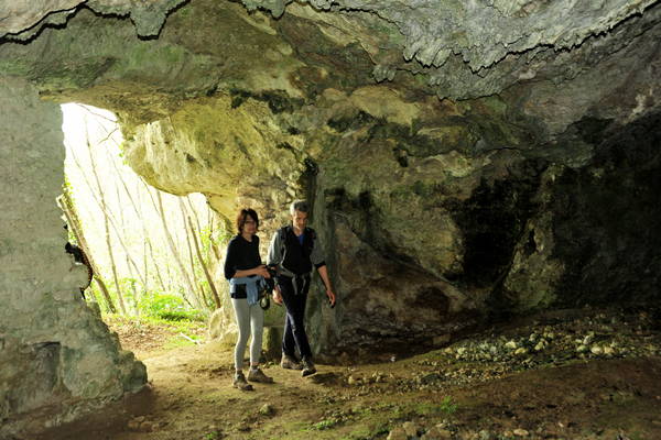 passeggiata nei Colli Berici - Castegnero, Nanto, Covoli di Trene, Sermondi, Covolo Murato di Castegnero