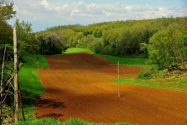passeggiata nei Colli Berici - Castegnero, Nanto, Covoli di Trene, Sermondi, Covolo Murato di Castegnero