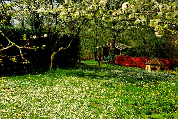 passeggiata nei Colli Berici - Castegnero, Nanto, Covoli di Trene, Sermondi, Covolo Murato di Castegnero