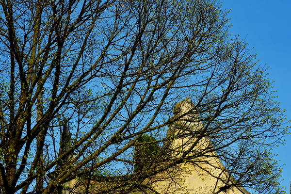 passeggiata nei Colli Berici - Castegnero, Nanto, Covoli di Trene, Sermondi, Covolo Murato di Castegnero