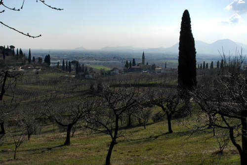 Covolo Murato di Castegnero, Colli Berici