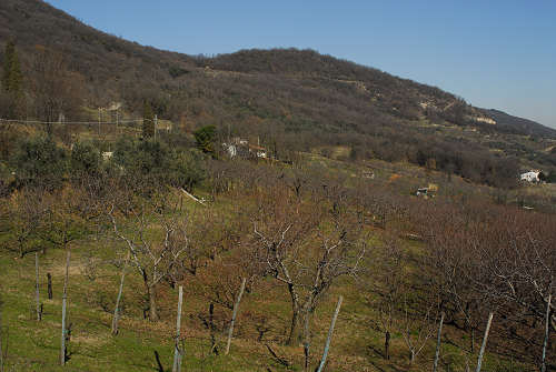 Covolo Murato di Castegnero, Colli Berici