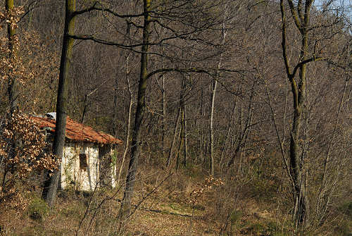 Covolo Murato di Castegnero, Colli Berici