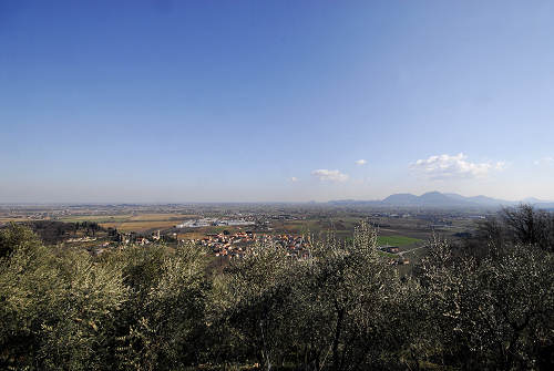 Covolo Murato di Castegnero, Colli Berici