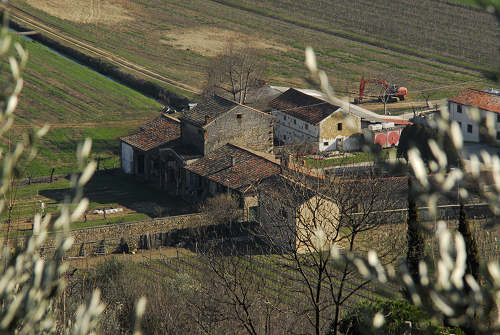 Covolo Murato di Castegnero, Colli Berici