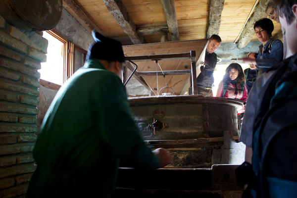 Monti Berici Val Liona - passeggiata Pederiva Monte Faeo Lupia e Casotti di San Germano dei Berici