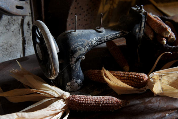 Monti Berici Val Liona - passeggiata Pederiva Monte Faeo Lupia e Casotti di San Germano dei Berici