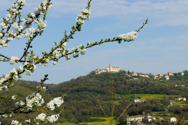 Monti Berici Val Liona - passeggiata Pederiva Monte Faeo Lupia e Casotti di San Germano dei Berici