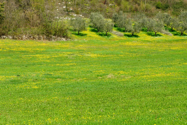 Monti Berici Val Liona - passeggiata Pederiva Monte Faeo Lupia e Casotti di San Germano dei Berici
