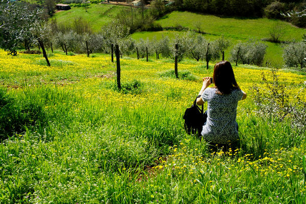 Monti Berici Val Liona - passeggiata Pederiva Monte Faeo Lupia e Casotti di San Germano dei Berici