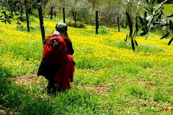 Monti Berici Val Liona - passeggiata Pederiva Monte Faeo Lupia e Casotti di San Germano dei Berici