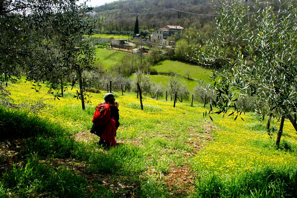 Monti Berici Val Liona - passeggiata Pederiva Monte Faeo Lupia e Casotti di San Germano dei Berici