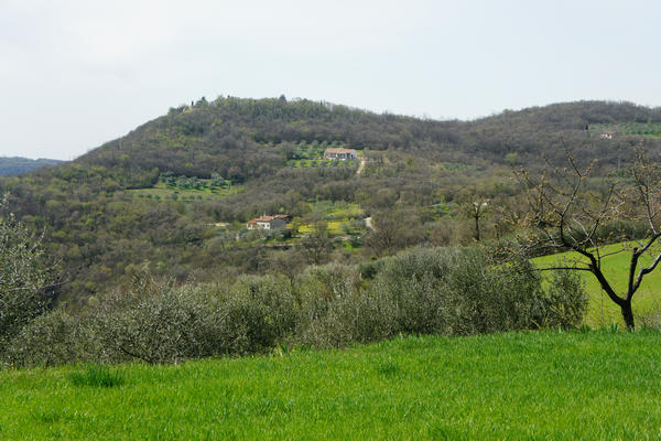 Monti Berici Val Liona - passeggiata Pederiva Monte Faeo Lupia e Casotti di San Germano dei Berici