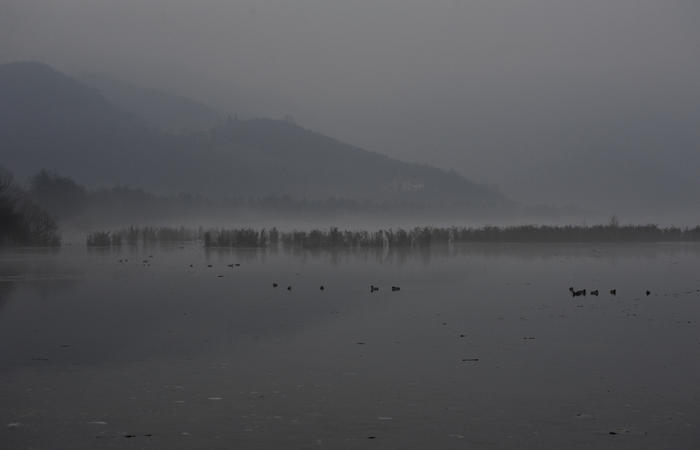 fotografie invernali sul Lago di Fimon, Arcugnano Colli Berici, Vicenza