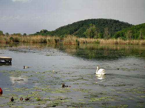 Lago di Fimon - Monti Berici