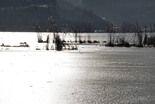 foto invernali al lago di Fimon, nei Colli Berici