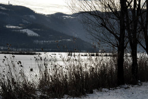 foto invernali al lago di Fimon, nei Colli Berici