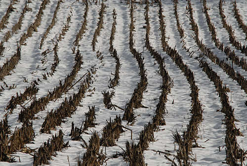 foto invernali al lago di Fimon, nei Colli Berici