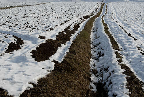 foto invernali al lago di Fimon, nei Colli Berici
