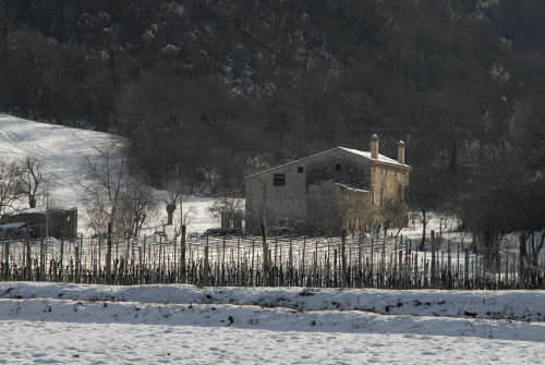 foto invernali al lago di Fimon, nei Colli Berici