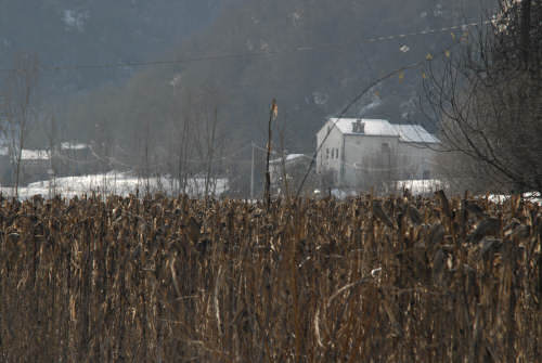 foto invernali al lago di Fimon, nei Colli Berici