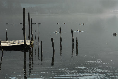 luci d'inverno al lago di Fimon, nei colli Berici