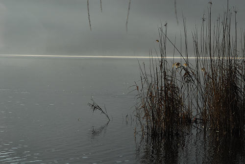 luci d'inverno al lago di Fimon, nei colli Berici