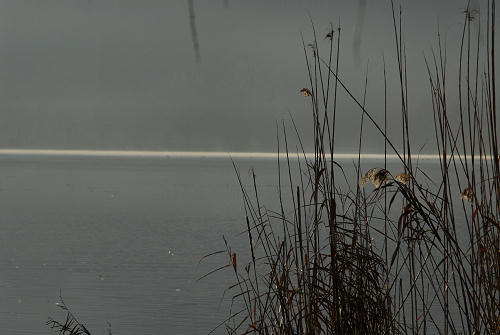 luci d'inverno al lago di Fimon, nei colli Berici