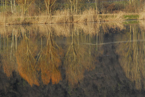 luci d'inverno al lago di Fimon, nei colli Berici