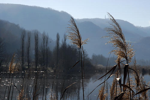 luci d'inverno al lago di Fimon, nei colli Berici