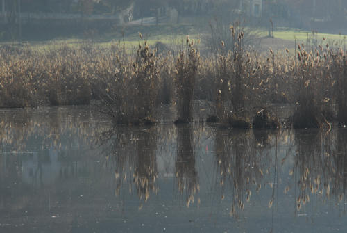 luci d'inverno al lago di Fimon, nei colli Berici