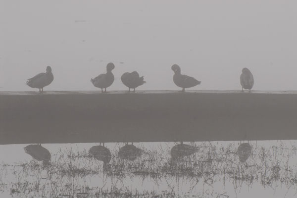 Lago di Fimon - Monti Berici