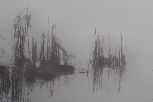 Lago di Fimon - Monti Berici