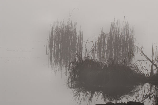 Lago di Fimon - Monti Berici