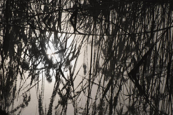 Lago di Fimon - Monti Berici
