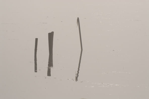 Lago di Fimon - Monti Berici