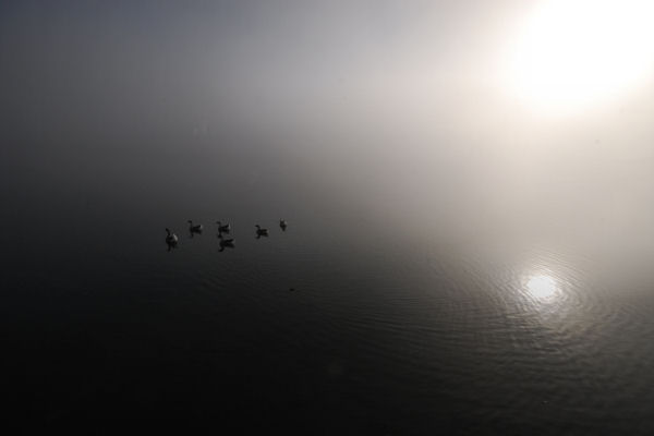 Lago di Fimon - Monti Berici