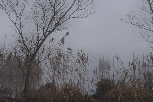 Lago di Fimon - Monti Berici