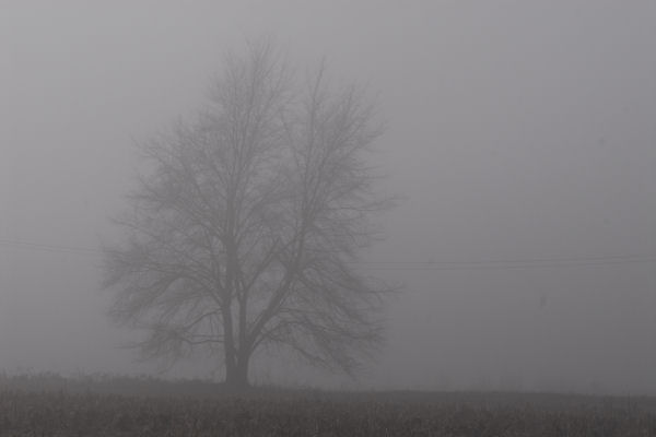 Lago di Fimon - Monti Berici