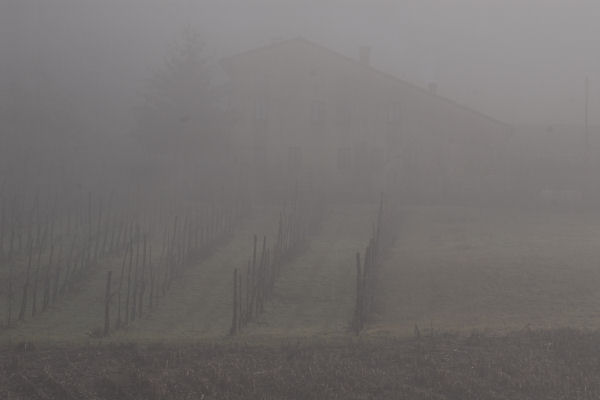 Lago di Fimon - Monti Berici