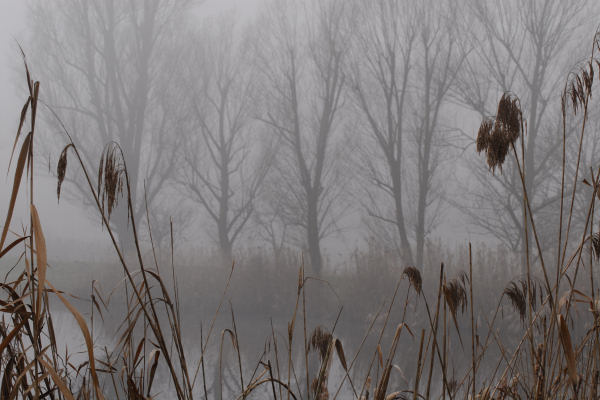Lago di Fimon - Monti Berici
