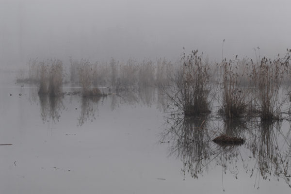 Lago di Fimon - Monti Berici