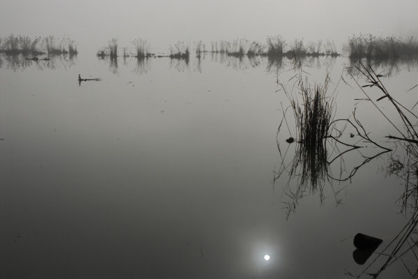 Lago di Fimon - Monti Berici